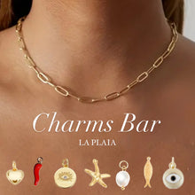 Load image into Gallery viewer, Charms Necklace
