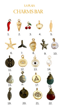 Load image into Gallery viewer, Charms Necklace
